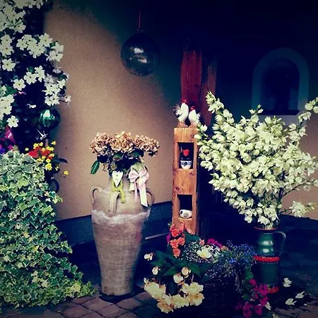 ガストハウス シュタインホーフ ザルツブルク